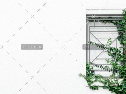 demo-attachment-1103-ben-neale-29w9FiMWSr8-unsplash-1024x1024